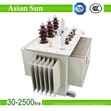 315kVA Three Phase Oil Immersed Distribution Transformer (33KV)